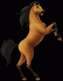/album/fotogalerie/a01f63d86e7-78097164-o2-gif/