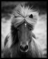 /album/fotogalerie/a3c6135d59a-72811008-o2-png/