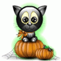 /album/fotogalerie/a4abd3a19f6-1324852-o2-gif/